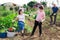 Preteen boy calling sister to work in vegetable garden