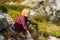 Preteen boy is exploring nature and having fun during hiking in mountains valley on sunny day. Active leisure for energetic