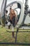 Preteen girl in mirrored sunglasses standing on footboard of open helicopter