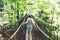Preteen kid boy walking on high tree-canopy trail with wooden walkway and ropeways on Hoherodskopf in Germany. Happy