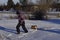 Preteen pulling a toboggan in front lawn