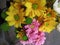 Prettty Bright CloseupYellow And Pink Daisy Flowers Bouquet
