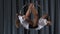 Pretty acrobats performs a trick in the aerial hoop