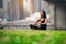 Pretty african american woman sitting on green grass doing yoga in New York City park