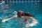 Pretty Asian woman wearing red bikini with waterproof glasses swimming at swimming pool.