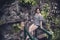 A pretty asian woman wearing summer attire poses on a faux bamboo bridge at a lush stone garden landscape