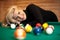 Pretty blond girl with billiard balls