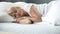 Pretty blond lady sleeping in bed, rest on comfortable mattress and pillow