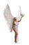 Pretty blonde with beautiful wings isolated shot
