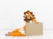 Pretty blonde girl with cozy lion costume is holding a brown sign in the studio in front of white wall
