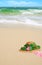 Pretty Bonnet on Beach