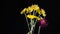 Pretty bouquet of flower alone in the dark