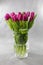 A pretty bouquet of purple tulips in a glass vase on a gray background