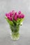 A pretty bouquet of purple tulips in a glass vase on a gray background