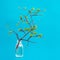 Pretty branch of a glass vase. isolated blue background