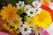 Pretty Bright Closeup Yellow And White  Flowers Bouquet