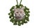 Pretty british shorthair cat sticking its head through an christmas mistletoe wreath isolated on a white background