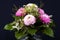 A pretty bunch of flowers with pink ranunculus