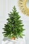 Pretty bushy danish Christmas tree without decorations in a large pot wrapped in sackcloth with space for your message