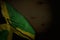 Pretty celebration flag 3d illustration - dark image of Jamaica flag with large folds on dark wood with empty space for content