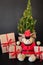 Pretty composition of a teddy bear, gift boxes and European Christmas tree or picea glauca Conica tree on the black