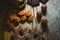 Pretty composition with warm light of Christmas sweets and chocolate cookies, festive background arranged on a rustic wooden table