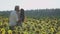 Pretty couple kiss at the sunflower field