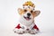 Pretty cute corgi dog wearing  royal costume crown  on white background.  copy space