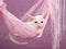 Pretty cute Siamese Oriental kitten pink hammock