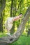 Pretty cute young brunette woman posing with her lovely tree in the green summer garden alone. happy girl pleasure in the nature,