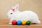 The pretty easter rabbit guarding colorful eggs