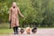 Pretty elegant woman is walking with her four dogs of pomeranian spitz breed in park at nature.