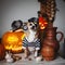 Pretty eyeless pirat chihuahua on Haloween costume party