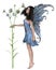 Pretty Fairy with Pale Blue Flowers