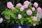 A pretty flower pot with pink hydrangea