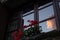 pretty flowers in a pot outside a window that reflects the sky and clouds