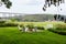 Pretty garden overlooking the Cap-Rouge bay at low tide and the 1908 railway trestle bridge