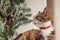 Pretty ginger cat interestedly exploring vintage decorative Christmas tree with cones