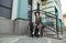 Pretty girl sitting with dog on the stairs near the building and looks into the camera. Stylish girl walking with dog on city