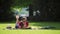 Pretty girl in sunglasses reading book in garden on sunny day, picnic, rest, sun