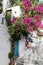 Pretty Greek Path in Ios island, Cyclades, Greece.