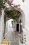Pretty Greek Path in Ios island, Greece