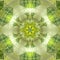 Pretty green floral sun triangle mandala