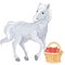 Pretty Grey Horse and fresh apples in a basket