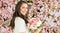 Pretty happy brunette woman with cute smile holding flower gift and posing on pink floral background. Blooming, love, 8 march