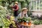 Pretty happy gray haired senior lady in straw hat, enjoying work with flowering pots in beautiful hothouse, while her