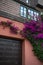 Pretty Housing wall in California with modern glass, paint, and pink flowers brush outside of front door