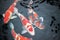 Pretty koi fishes in clear water