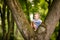 A pretty little blonde girl in blue trouses on a large spreading tree. Children and science