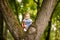 A pretty little blonde girl in blue trouses on a large spreading tree. Children and science